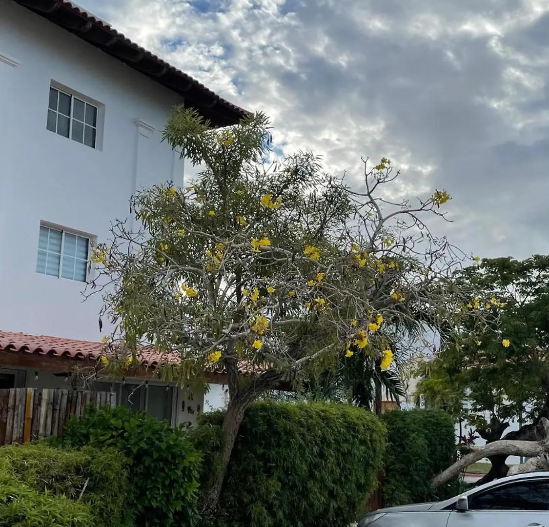 Tranquilidad En Cap Cana, Acogedor Apartamento Residencial Apartment Punta Cana